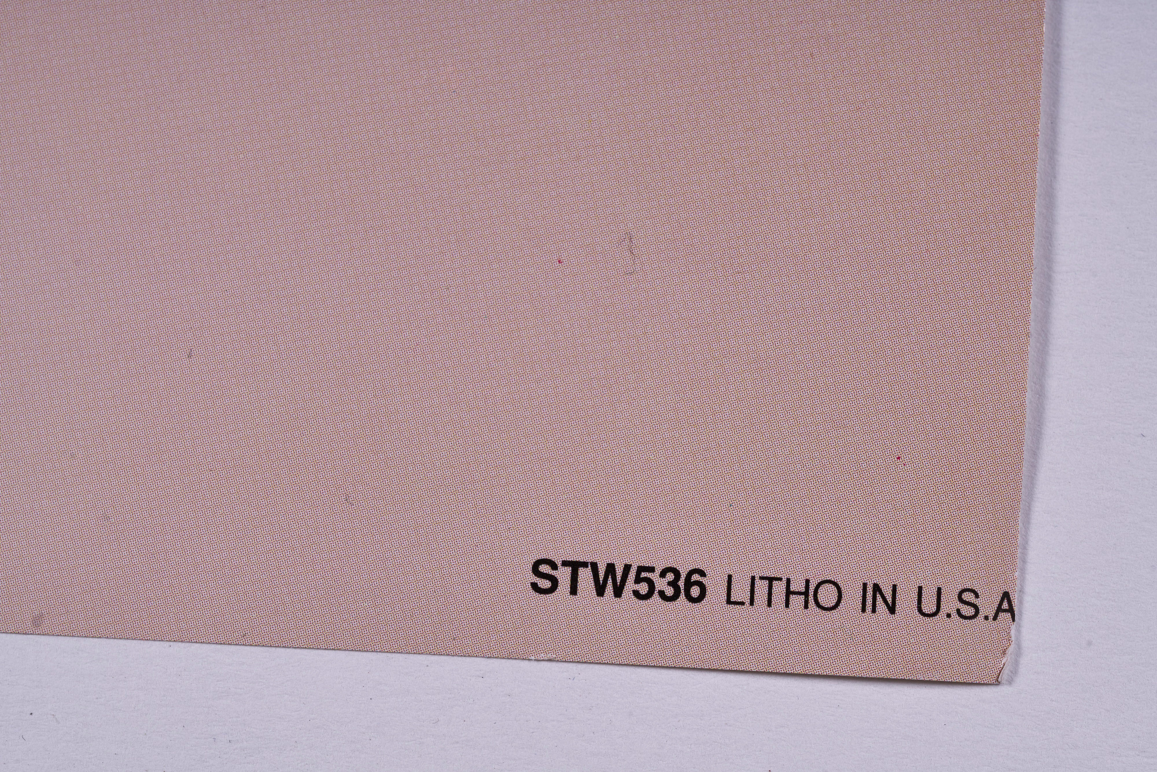 【限定10枚】JIM MORRISON(ジム・モリソン) 1989 / バンドポスター