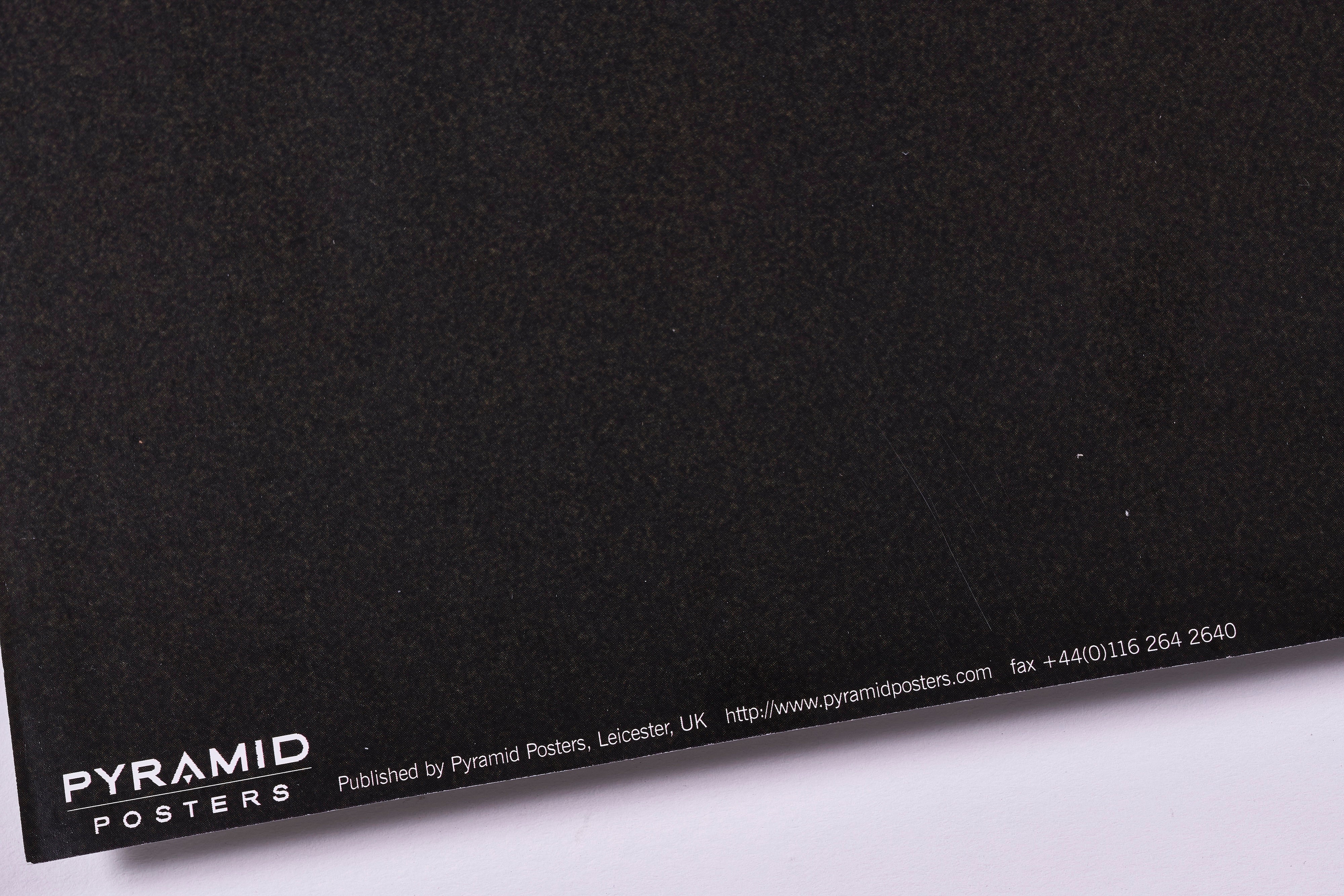 完売【限定10枚】KURT COBAIN(カート・コバーン) 2004 / バンドポスター