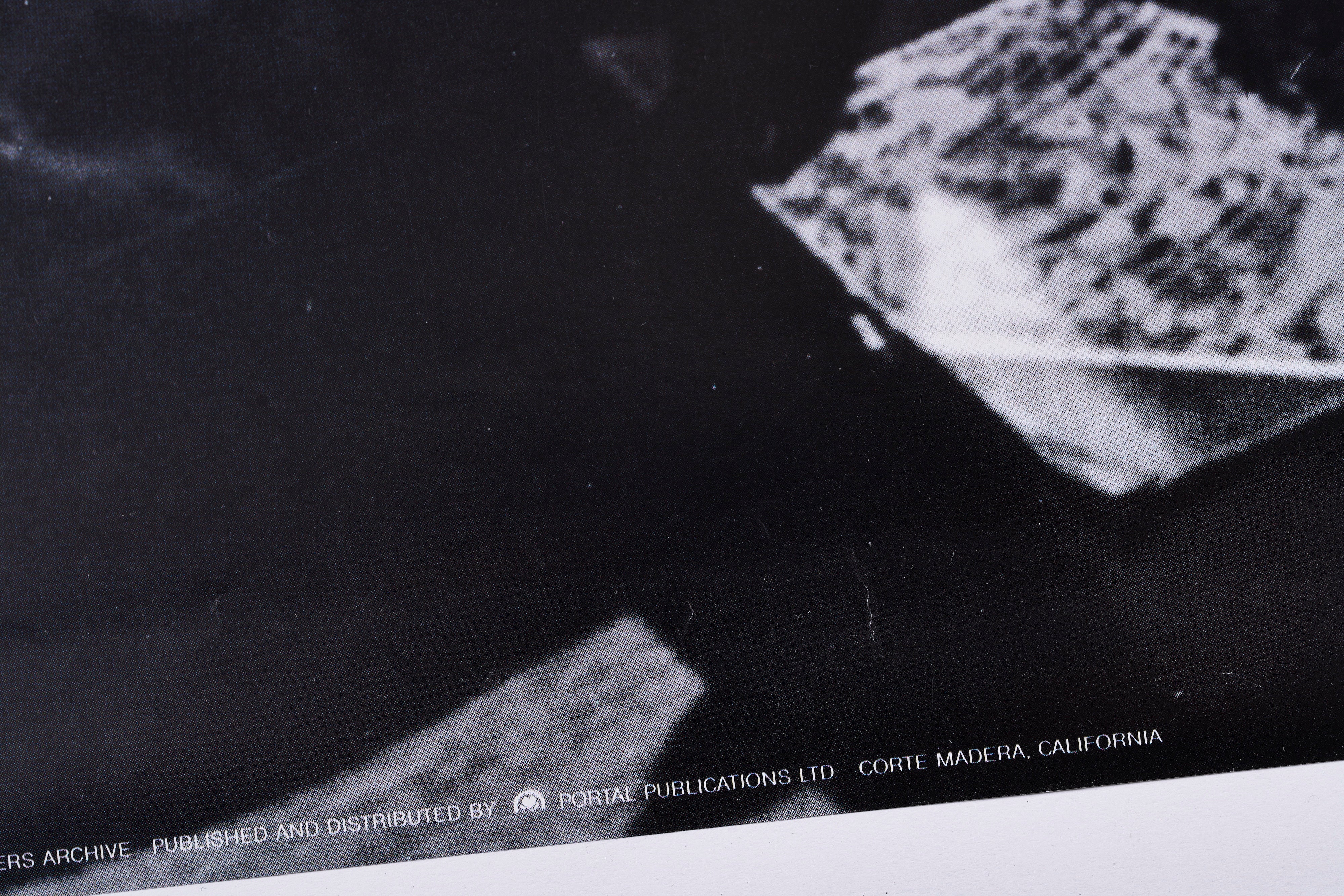 【限定5枚】REBEL WITHOUT A CAUSE(理由なき反抗) 1955 - PORTAL PUBLICATIONS 1988 / 映画ポスター