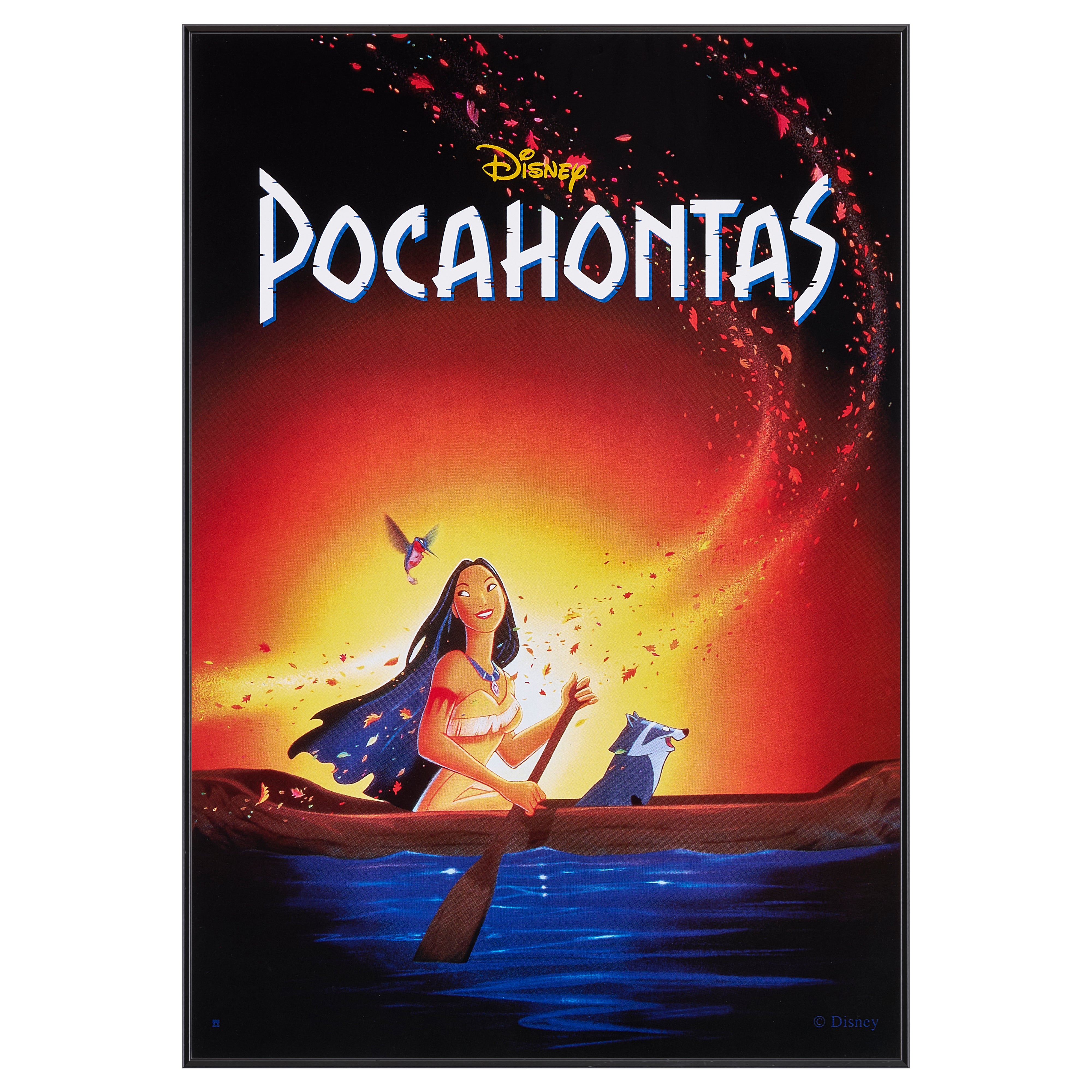 【限定3枚】POCAHONTAS(ポカホンタス) 1990s-2000s / 映画ポスター