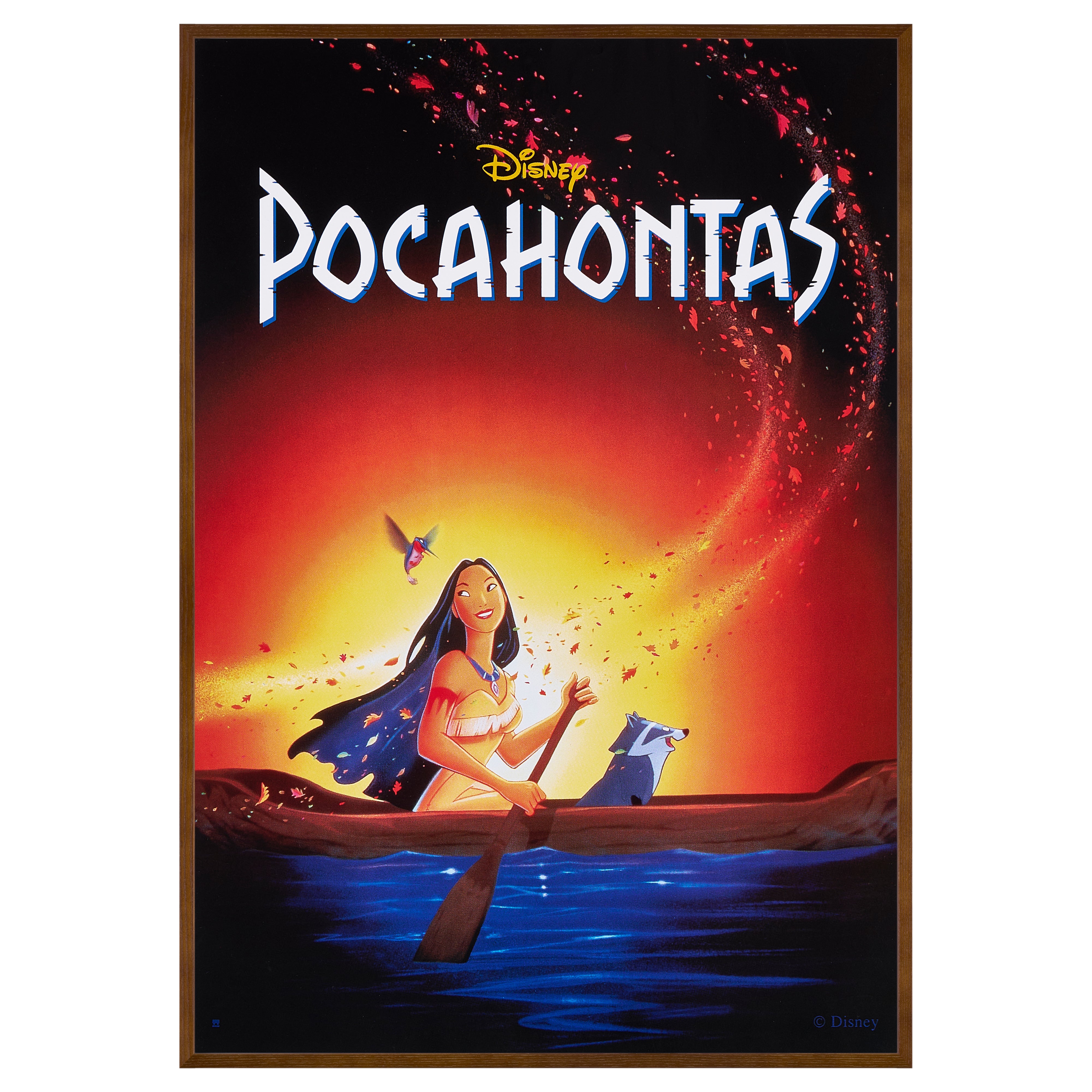 【限定3枚】POCAHONTAS(ポカホンタス) 1990s-2000s / 映画ポスター