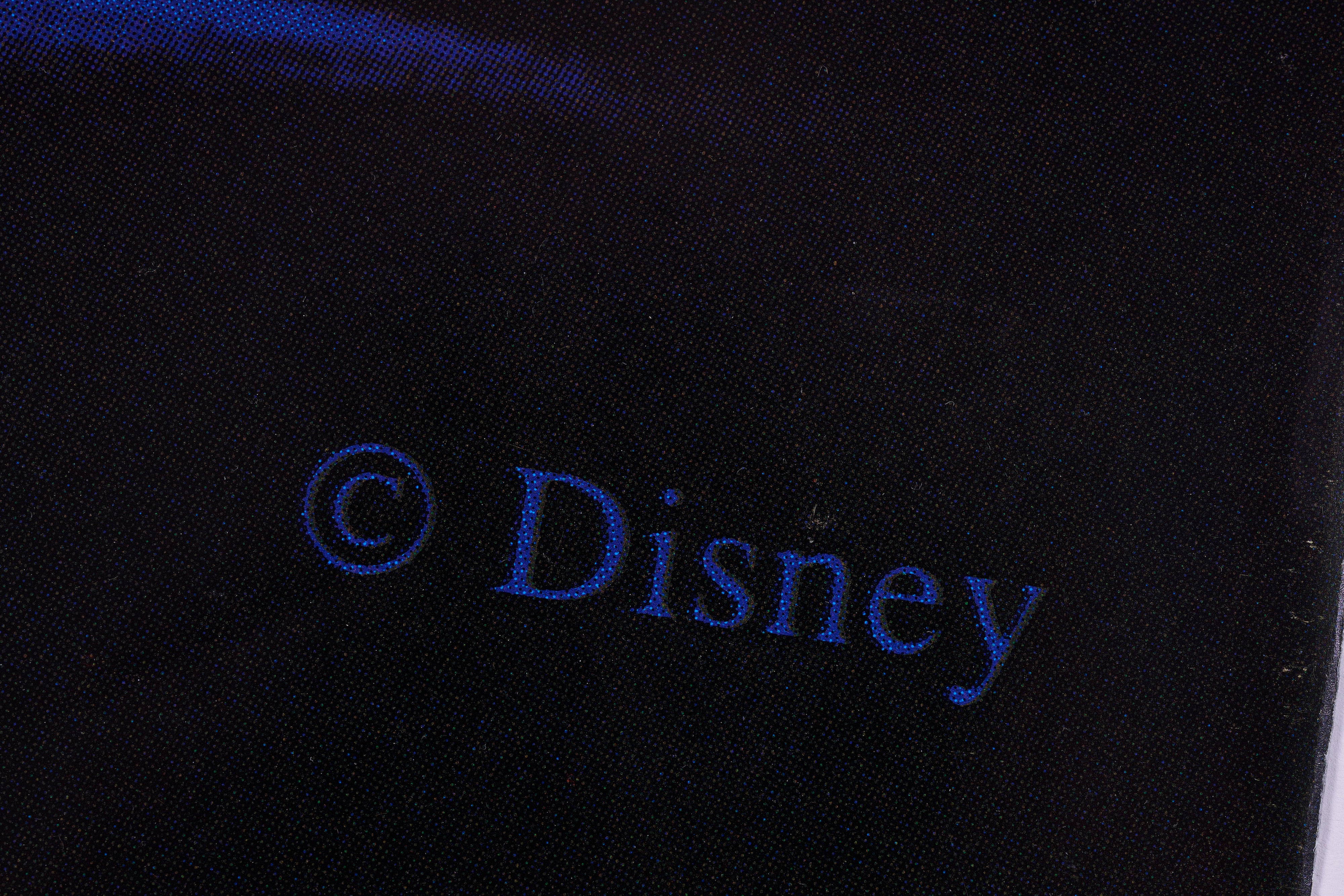 【限定3枚】POCAHONTAS(ポカホンタス) 1990s-2000s / 映画ポスター