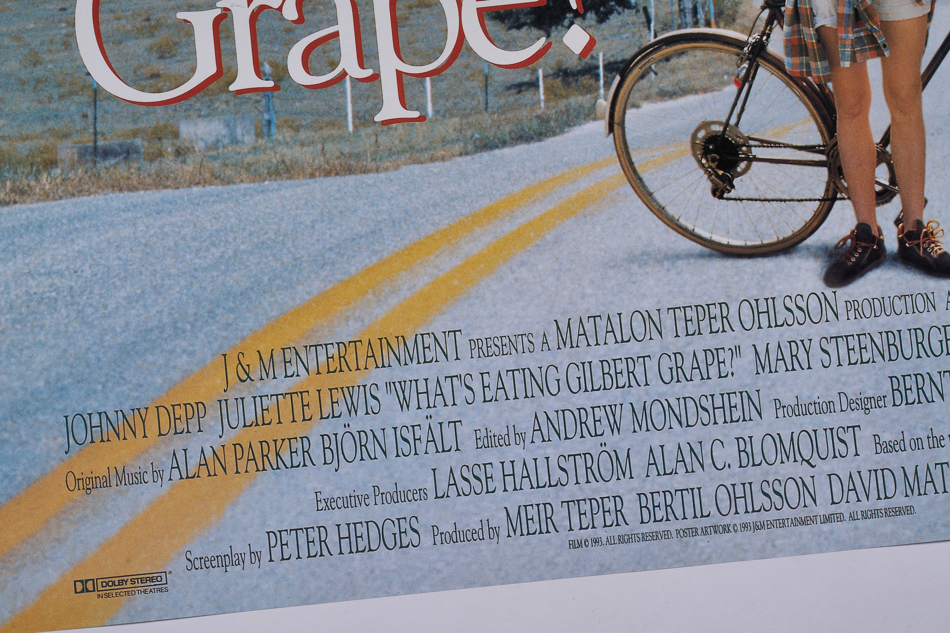 【限定5枚】What’s Eating Gilbert Grape(ギルバート・グレイプ) 1993 / 映画ポスター