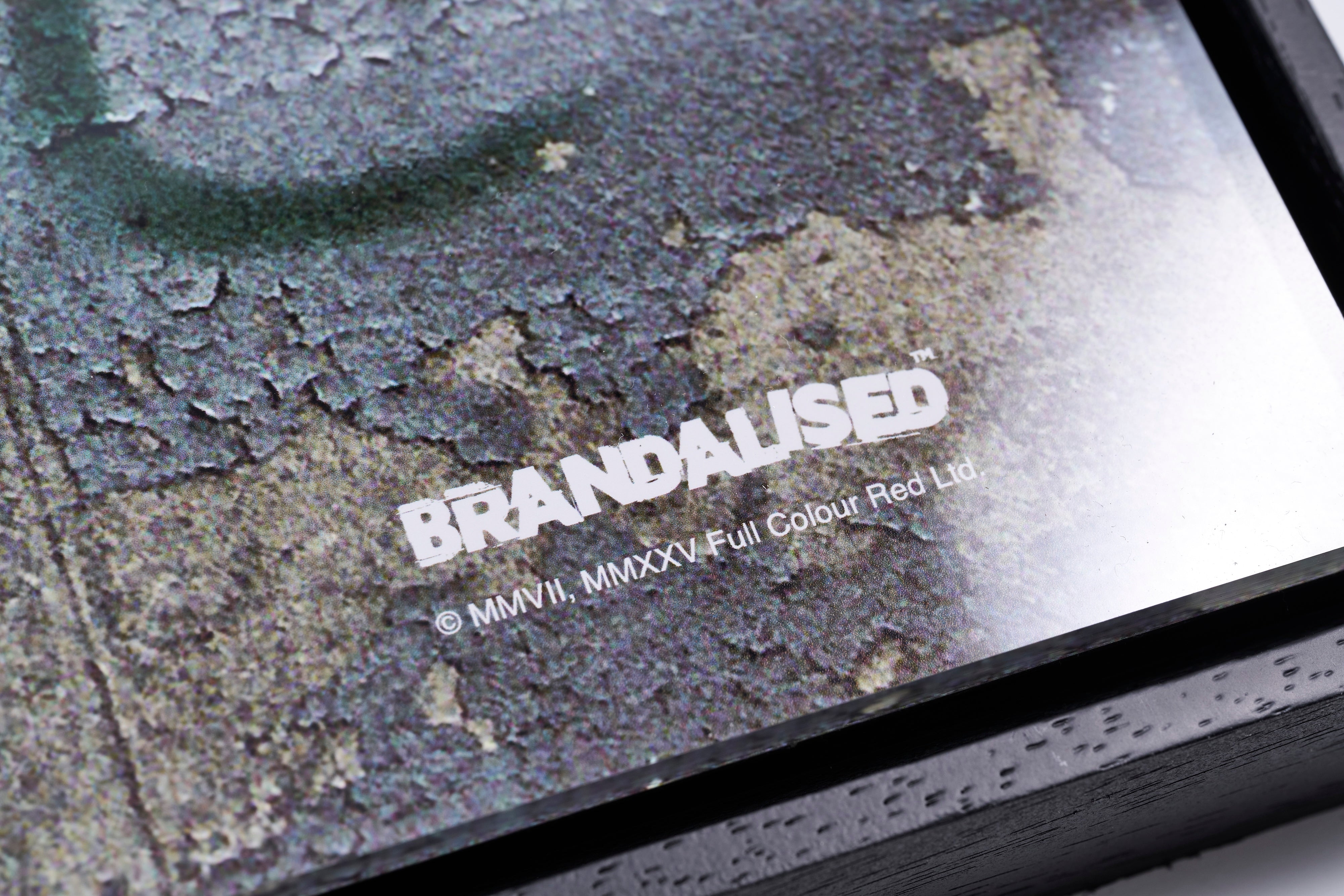 【限定10枚】RIOT POLICE / バンクシー