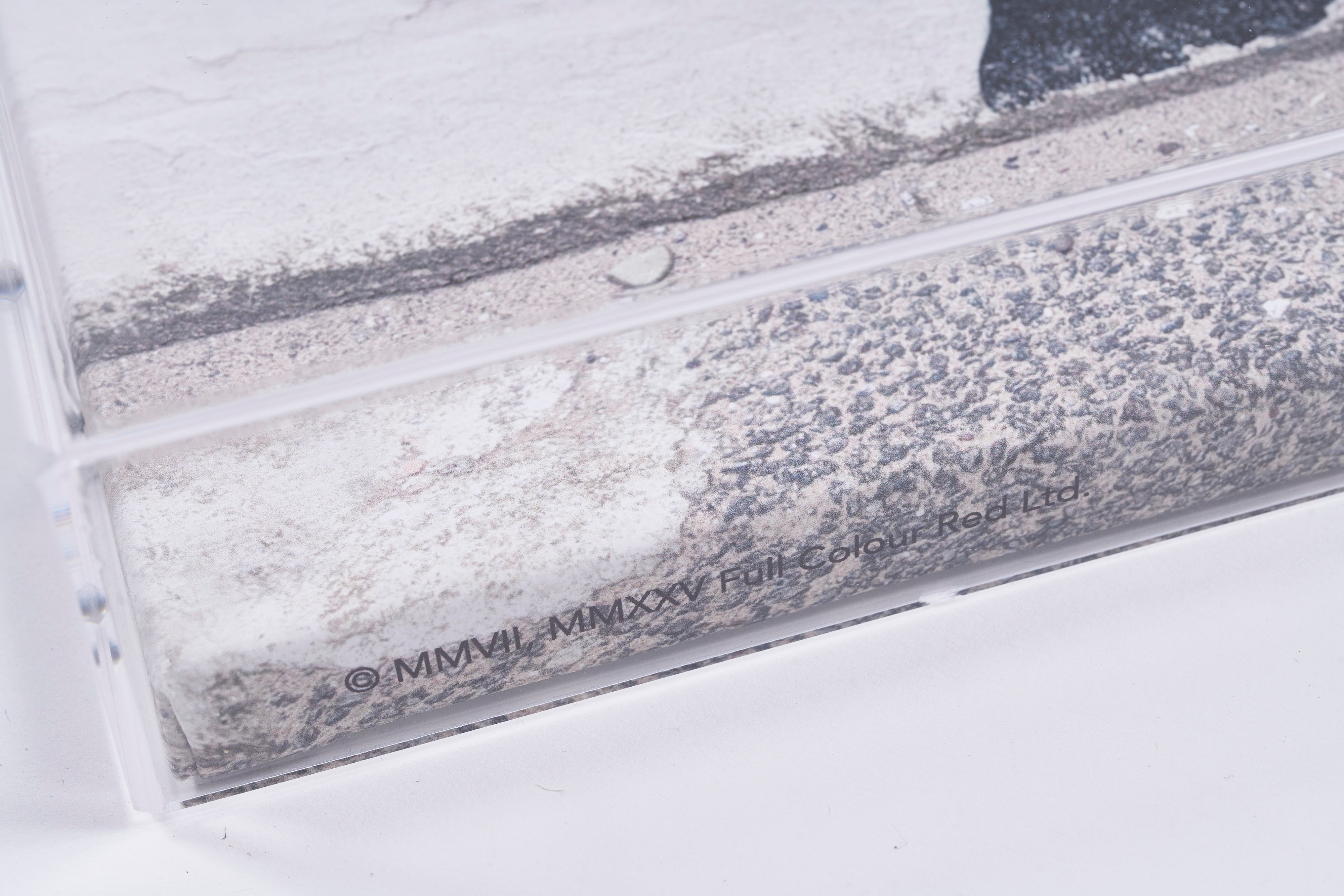 【限定30枚】Boy Meets Girl / バンクシー