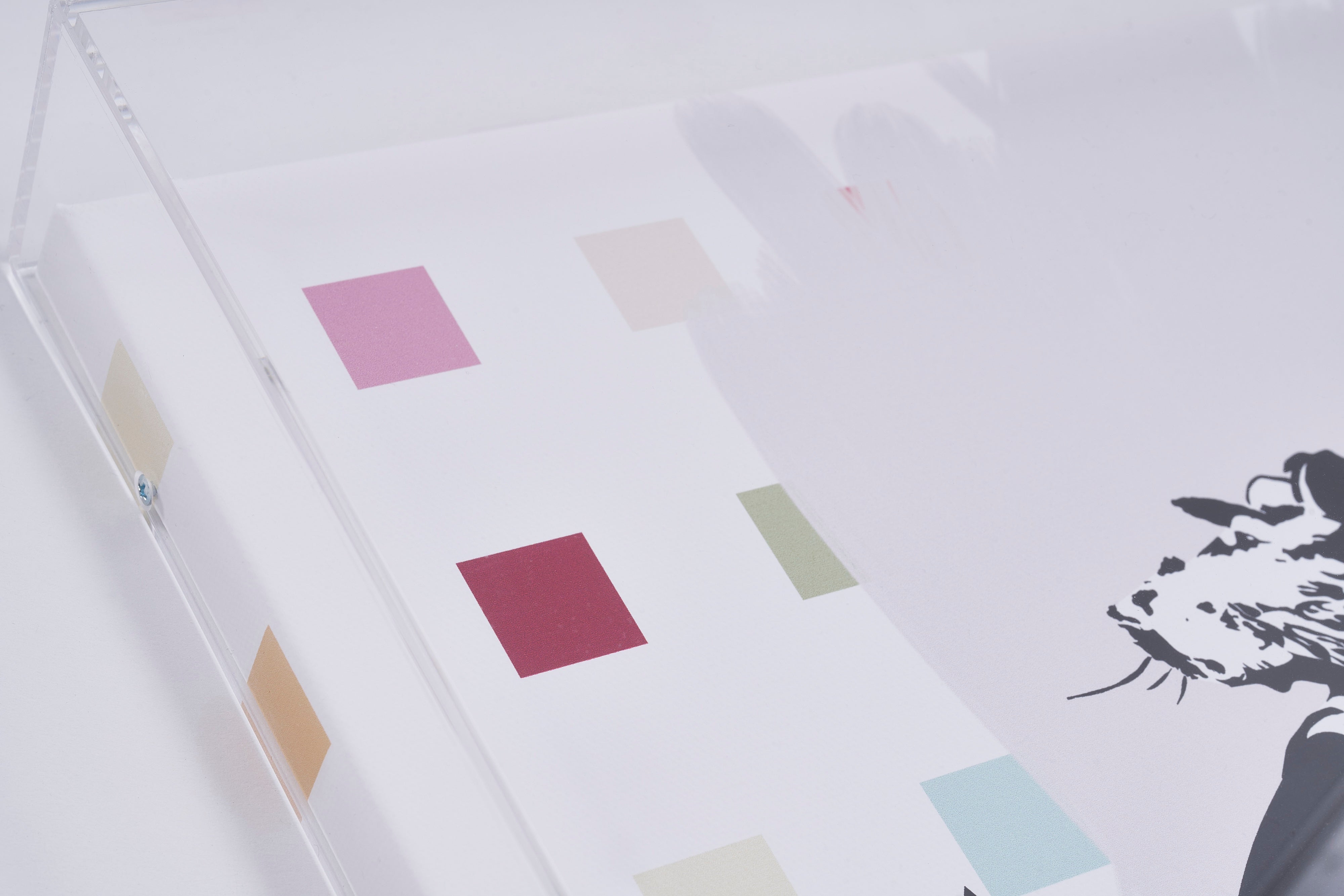 【限定10枚】Rat with Roller / バンクシー