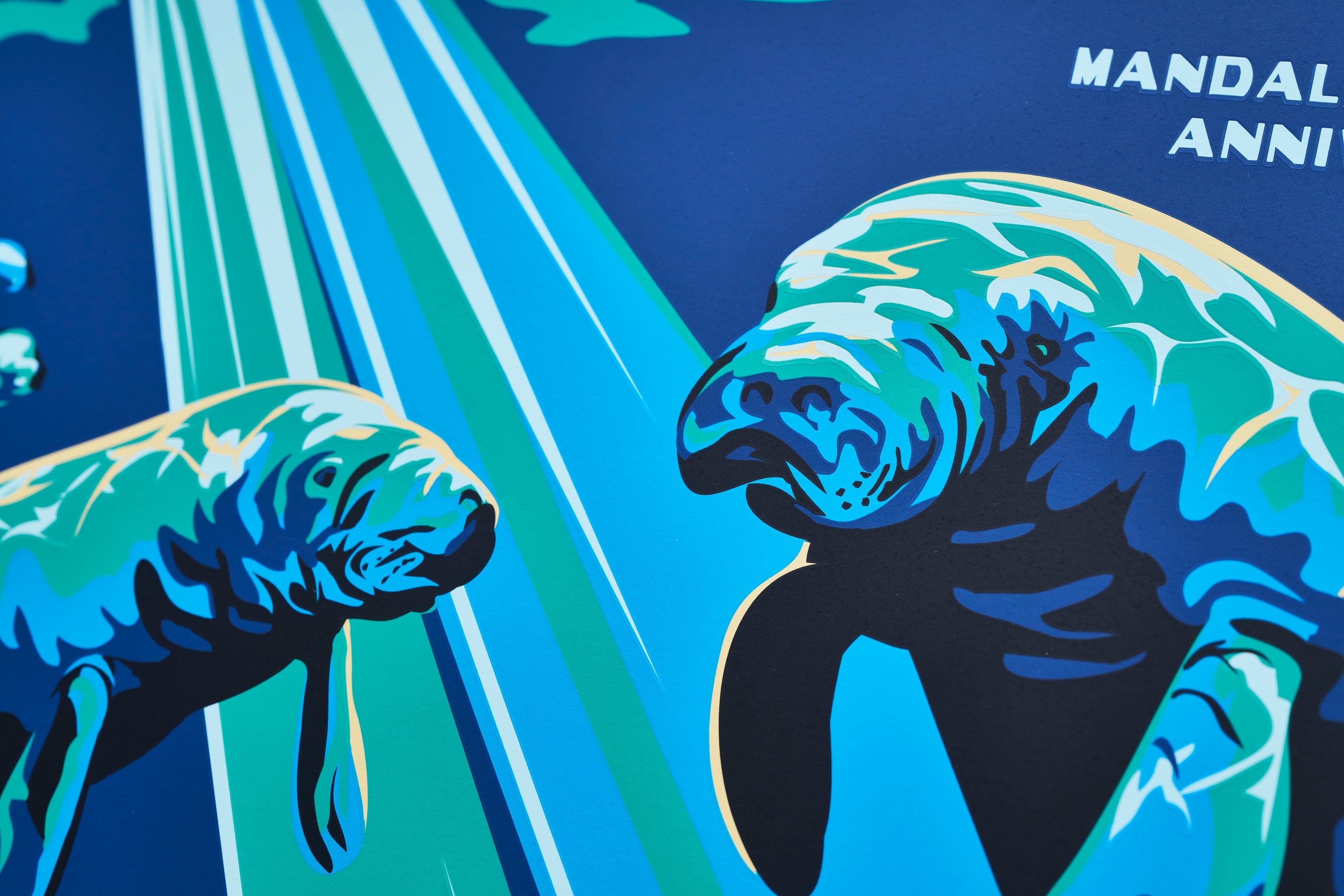 【限定3枚】ビスケーン国立公園 / アメリカ国立公園ポスター