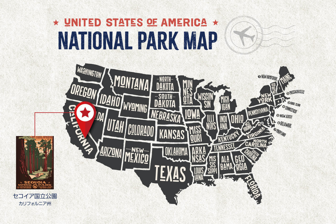 再入荷【限定3枚】セコイア国立公園 / アメリカ国立公園ポスター