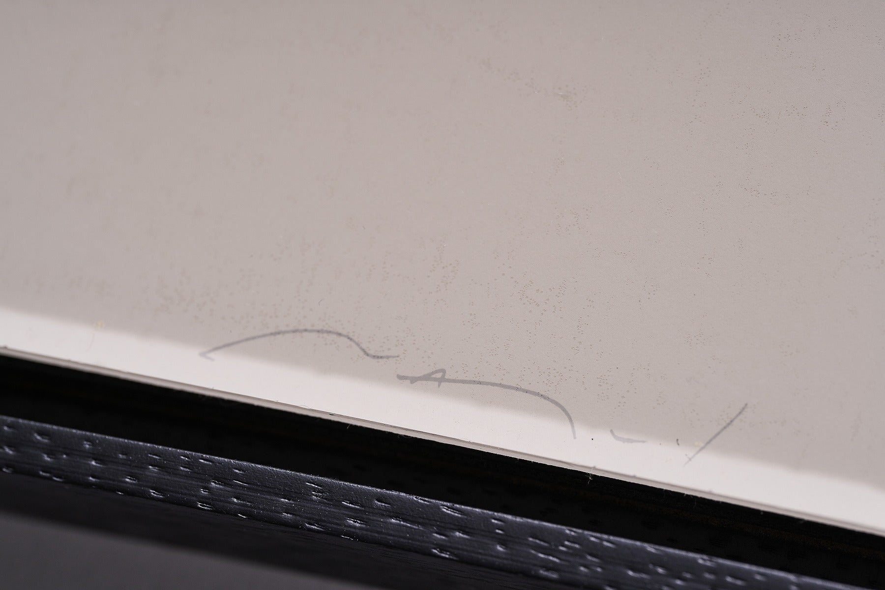 【限定10枚】THE PLAYBOY PORTFOLIO 1988 / パトリック・ナゲル