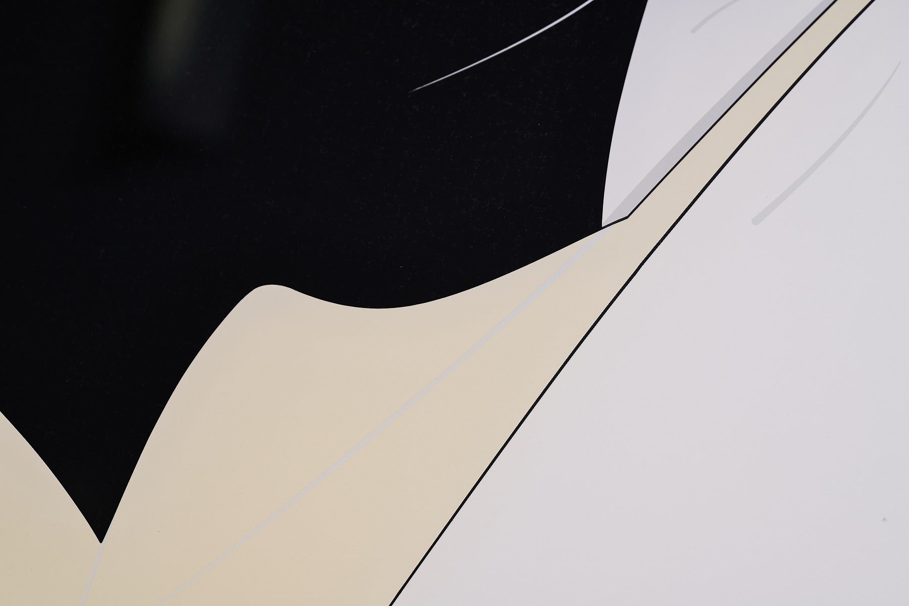 【限定10枚】THE BOOK 1981 / パトリック・ナゲル