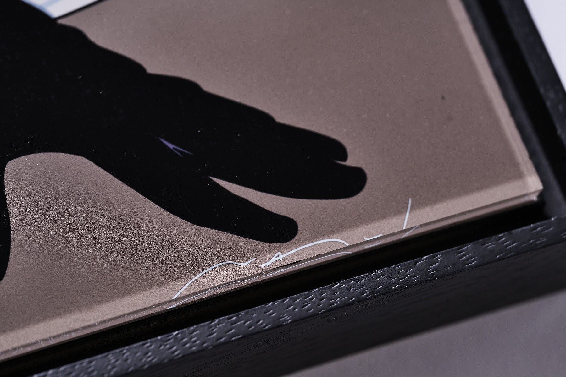 【限定10枚】EXHIBITION TOKYO 1989 / パトリック・ナゲル