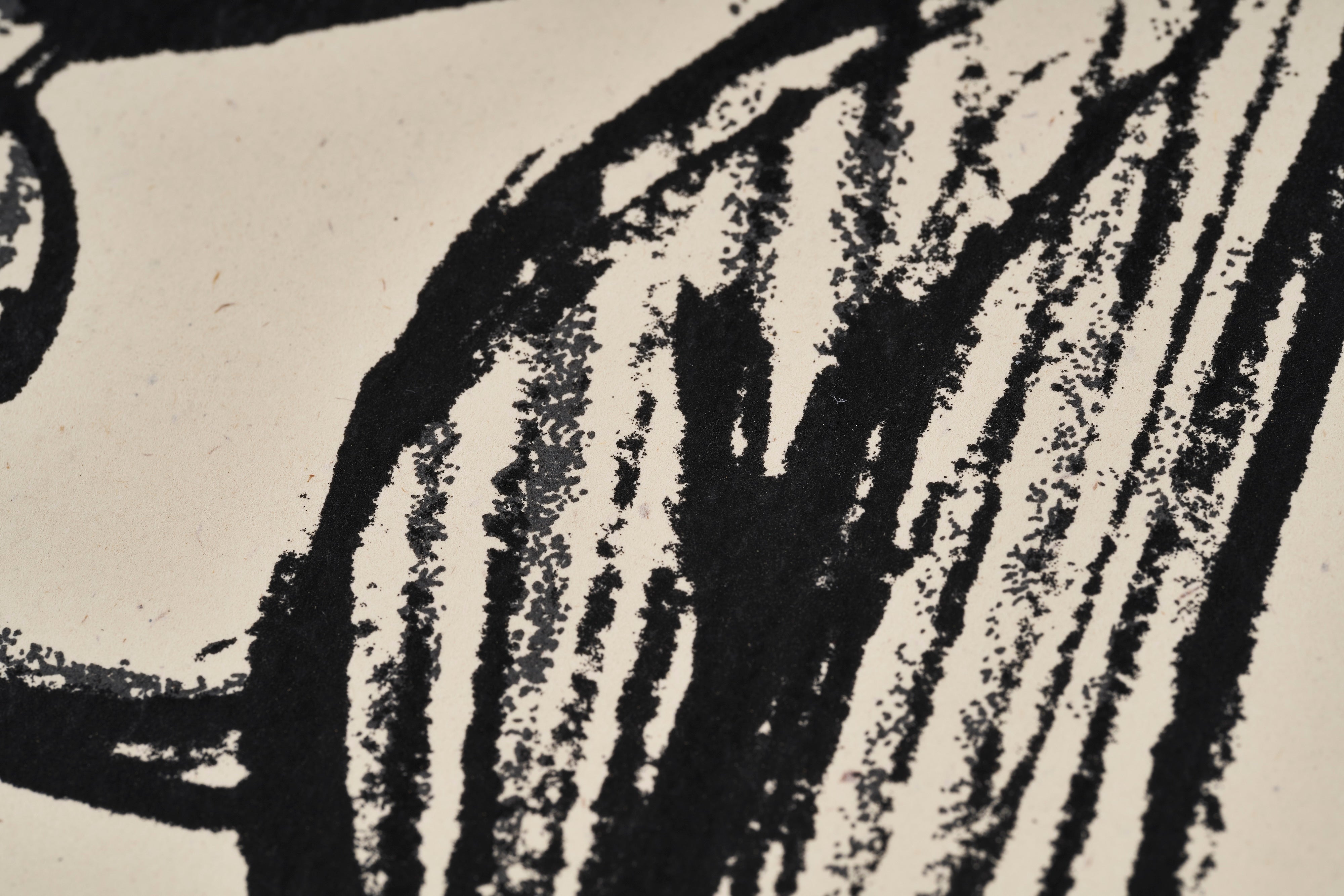 限定10枚】PINOCCHIO 