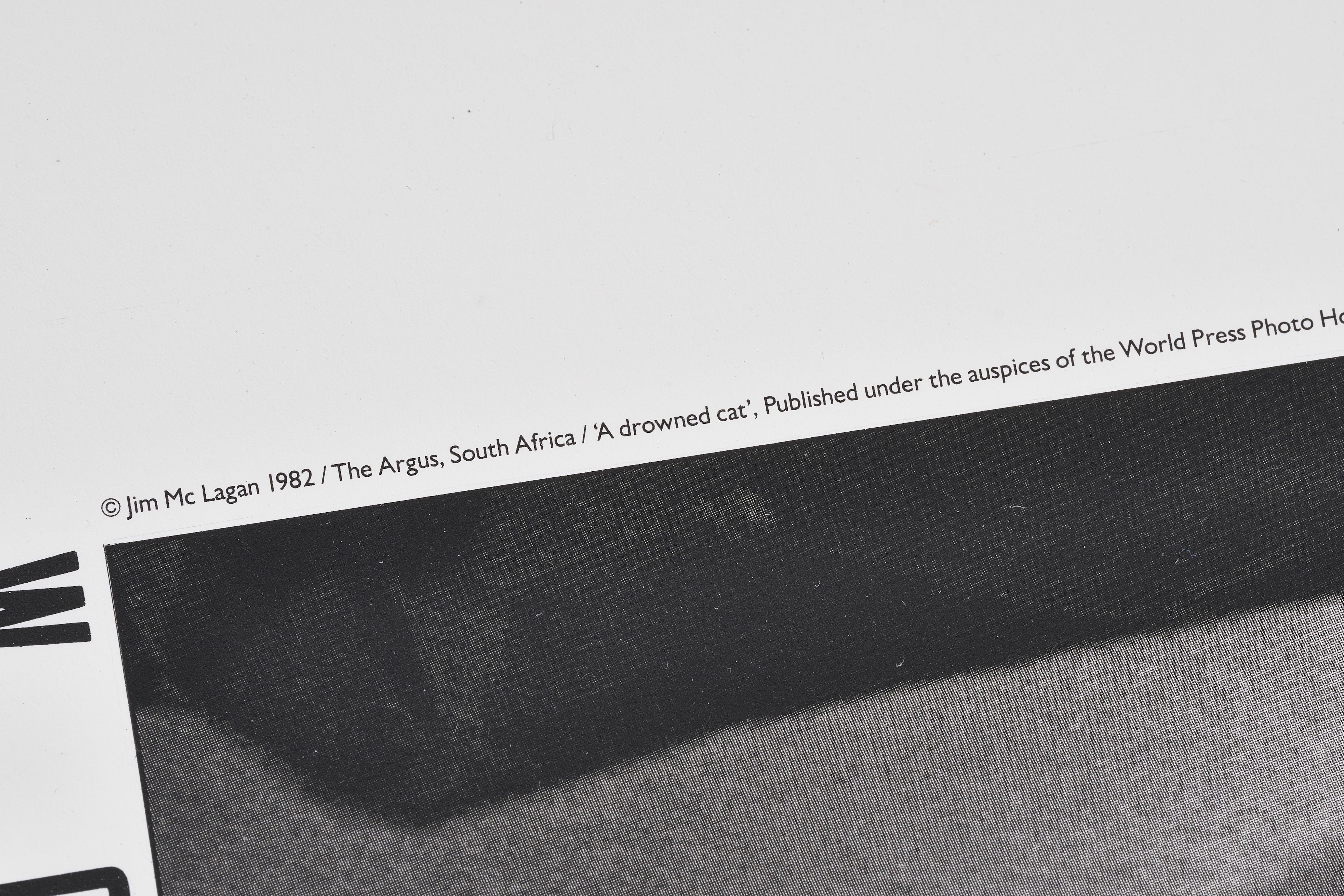 【限定20枚】A Drowned Cat 1982 - World Press Photo 1982 / ジム・マクラガン