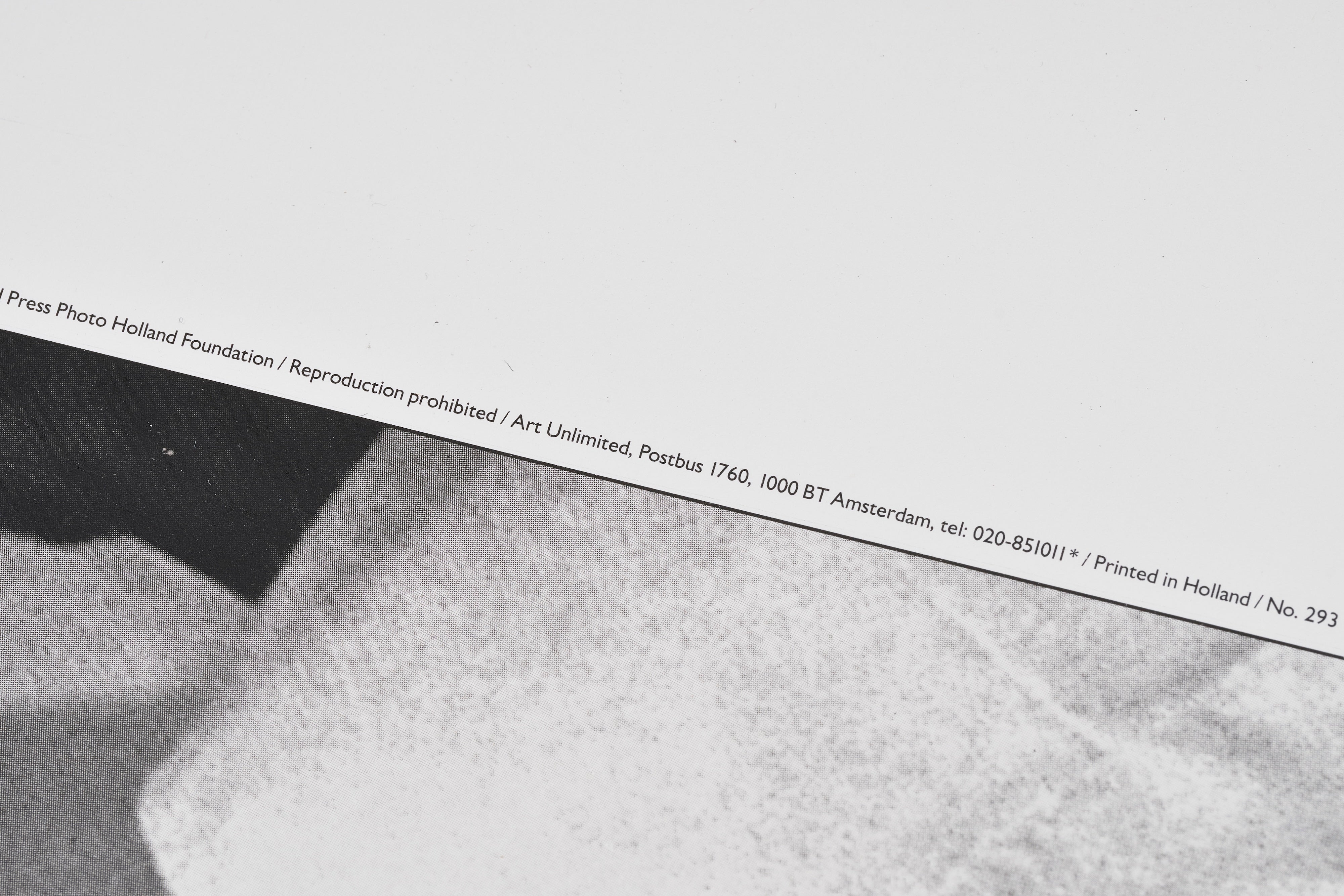 【限定20枚】A Drowned Cat 1982 - World Press Photo 1982 / ジム・マクラガン