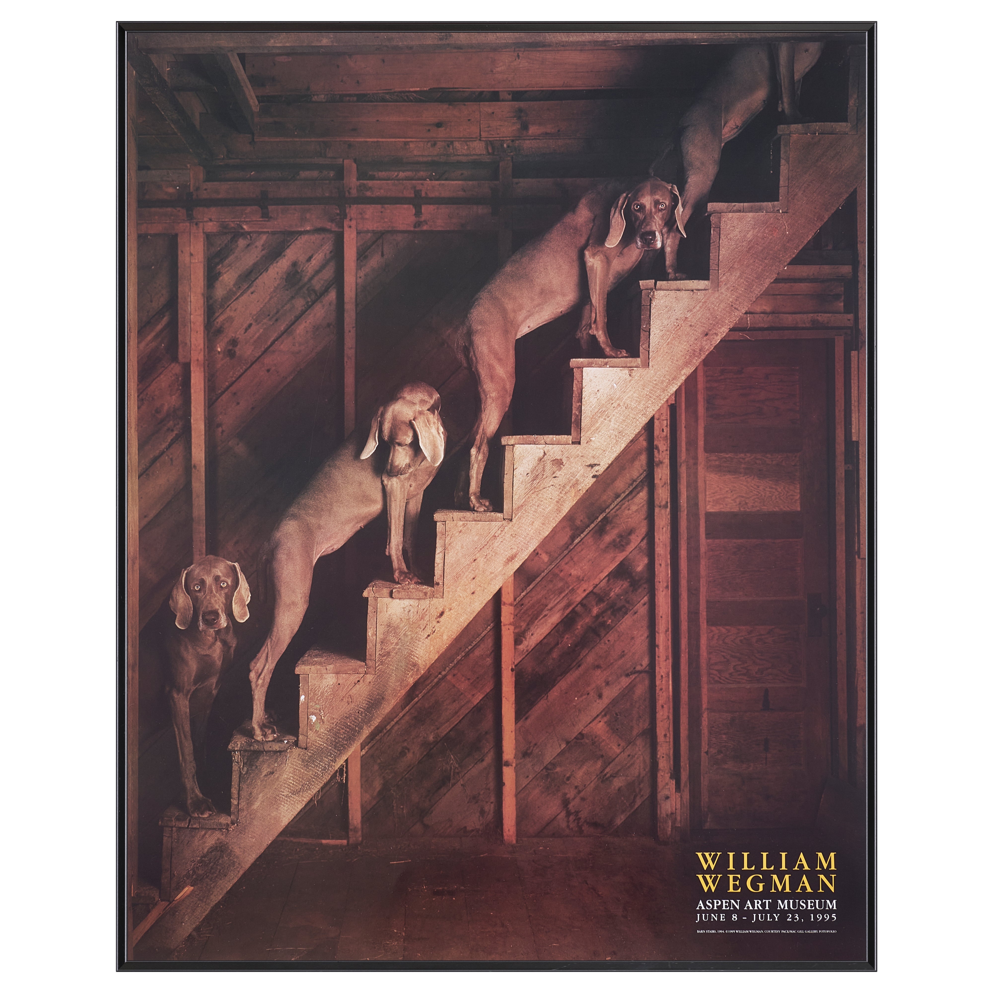 【限定10枚】BARN STAIRS 1994 - ASPEN ART MUSEUM 1995 / ウィリアム・ウェグマン