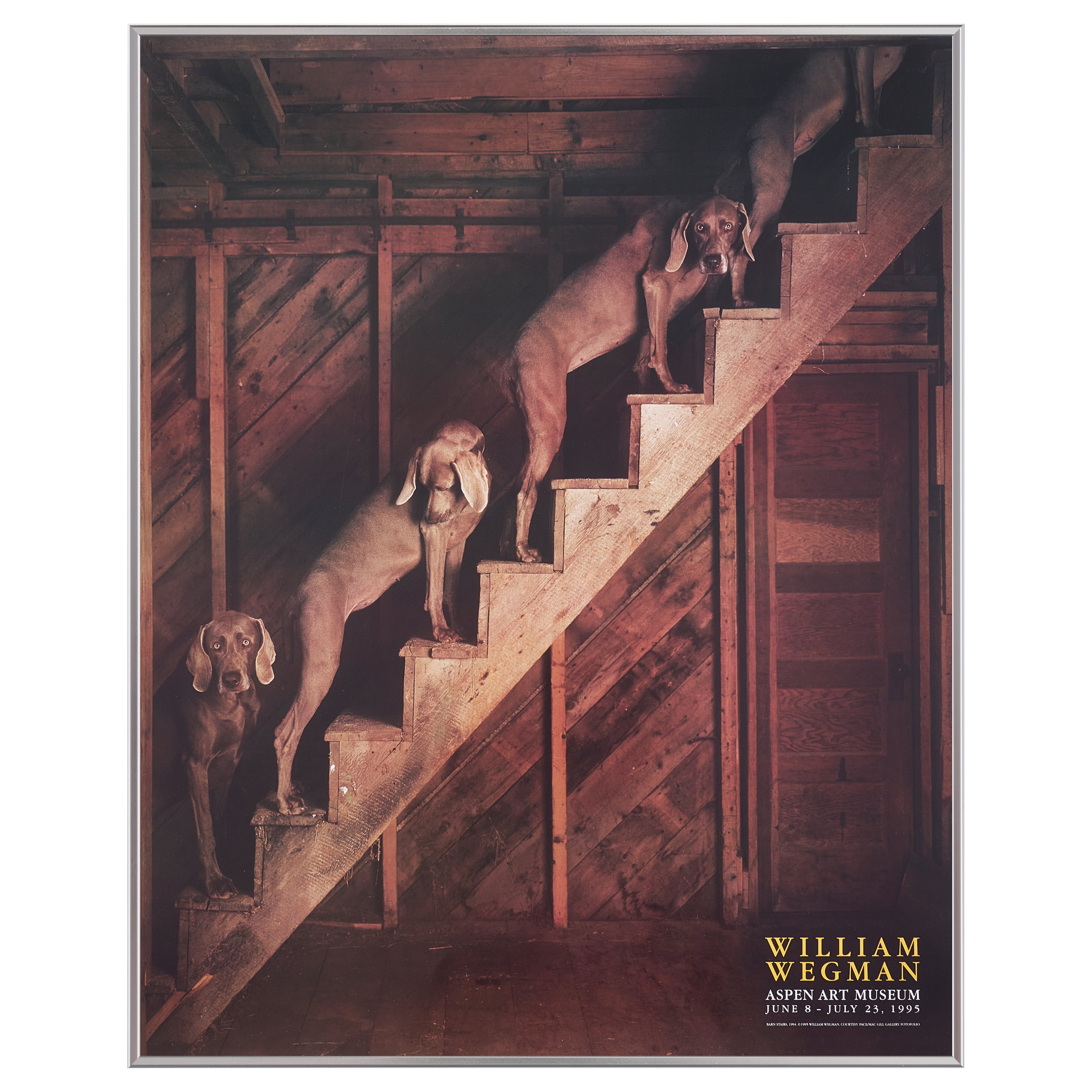 【限定10枚】BARN STAIRS 1994 - ASPEN ART MUSEUM 1995 / ウィリアム・ウェグマン