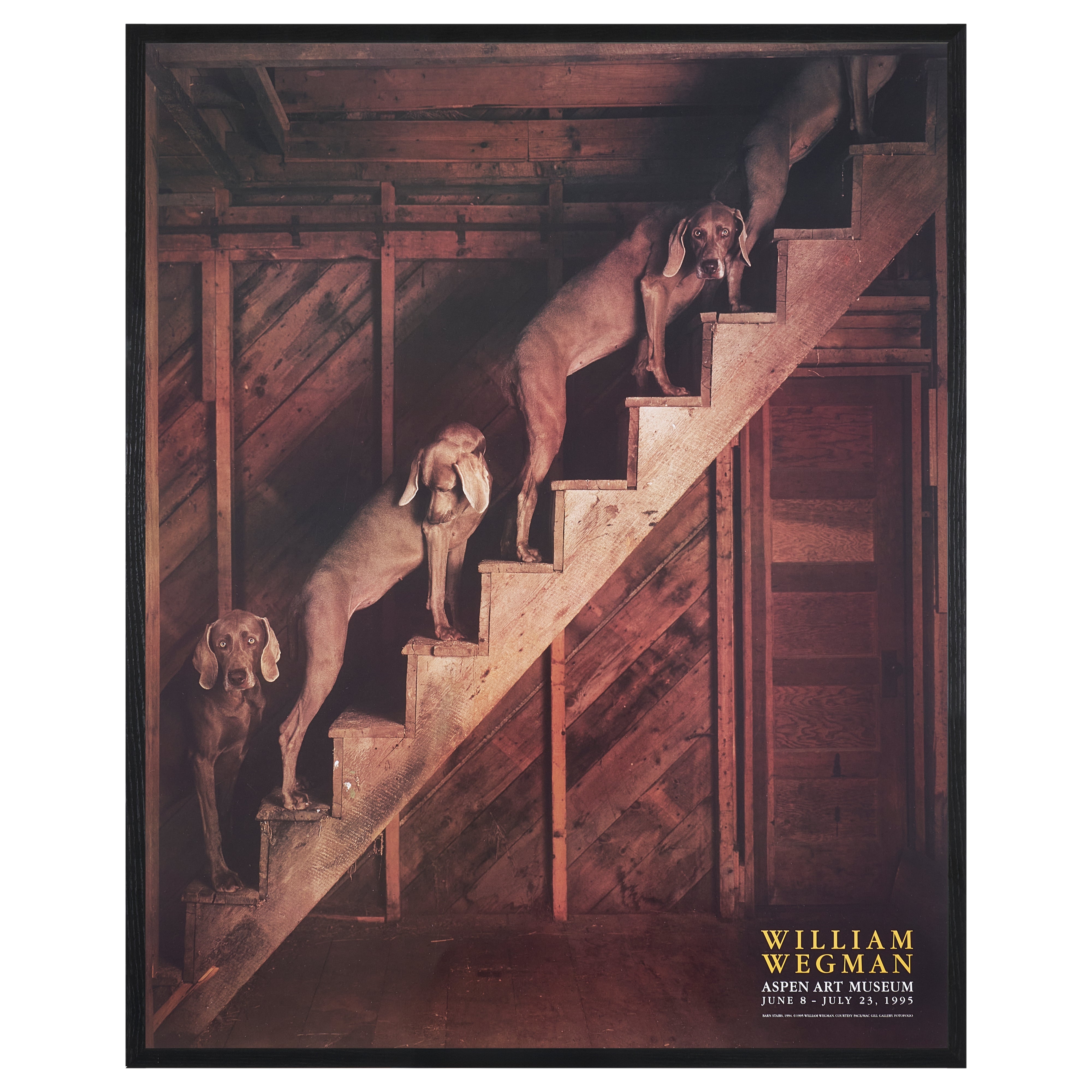 【限定10枚】BARN STAIRS 1994 - ASPEN ART MUSEUM 1995 / ウィリアム・ウェグマン