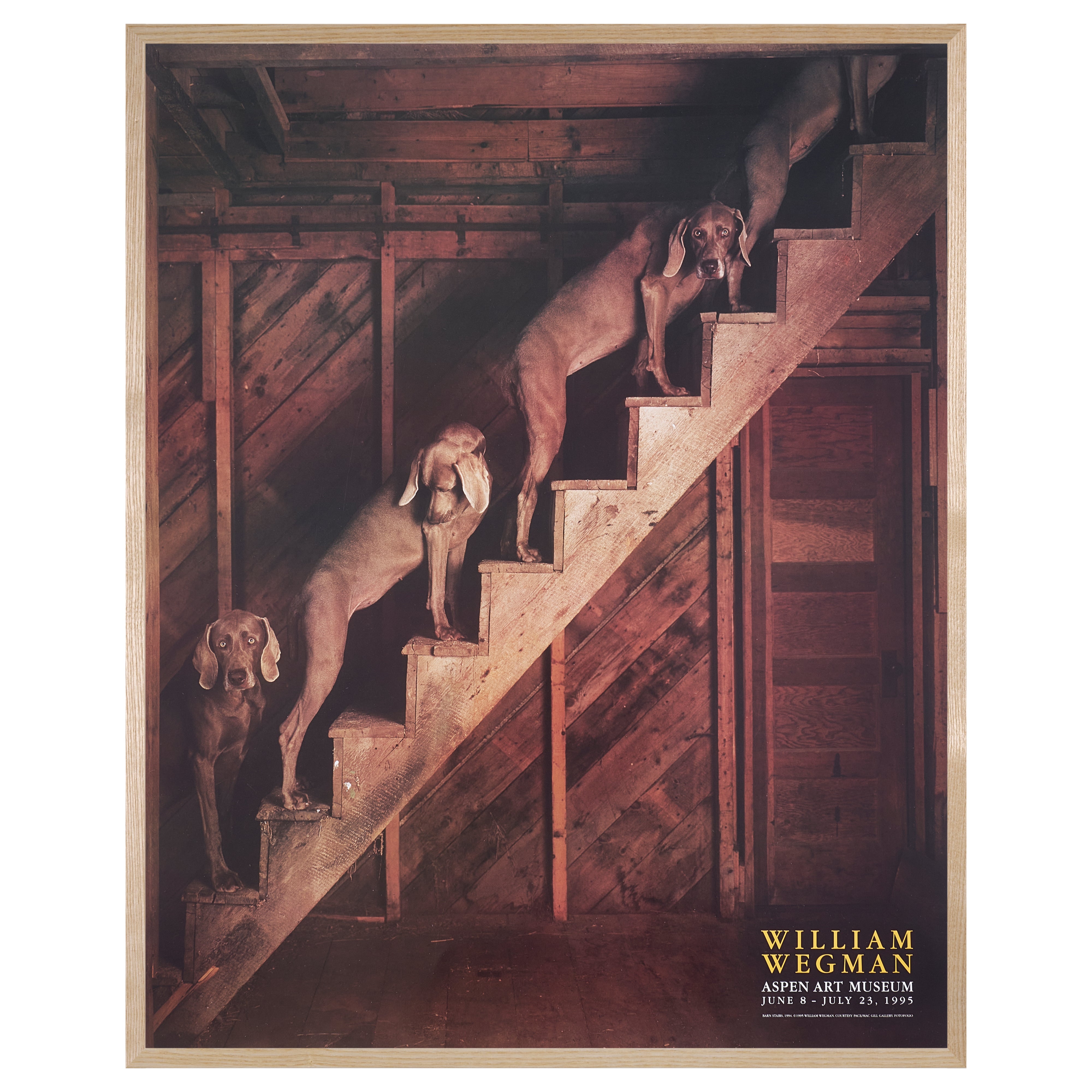 【限定10枚】BARN STAIRS 1994 - ASPEN ART MUSEUM 1995 / ウィリアム・ウェグマン