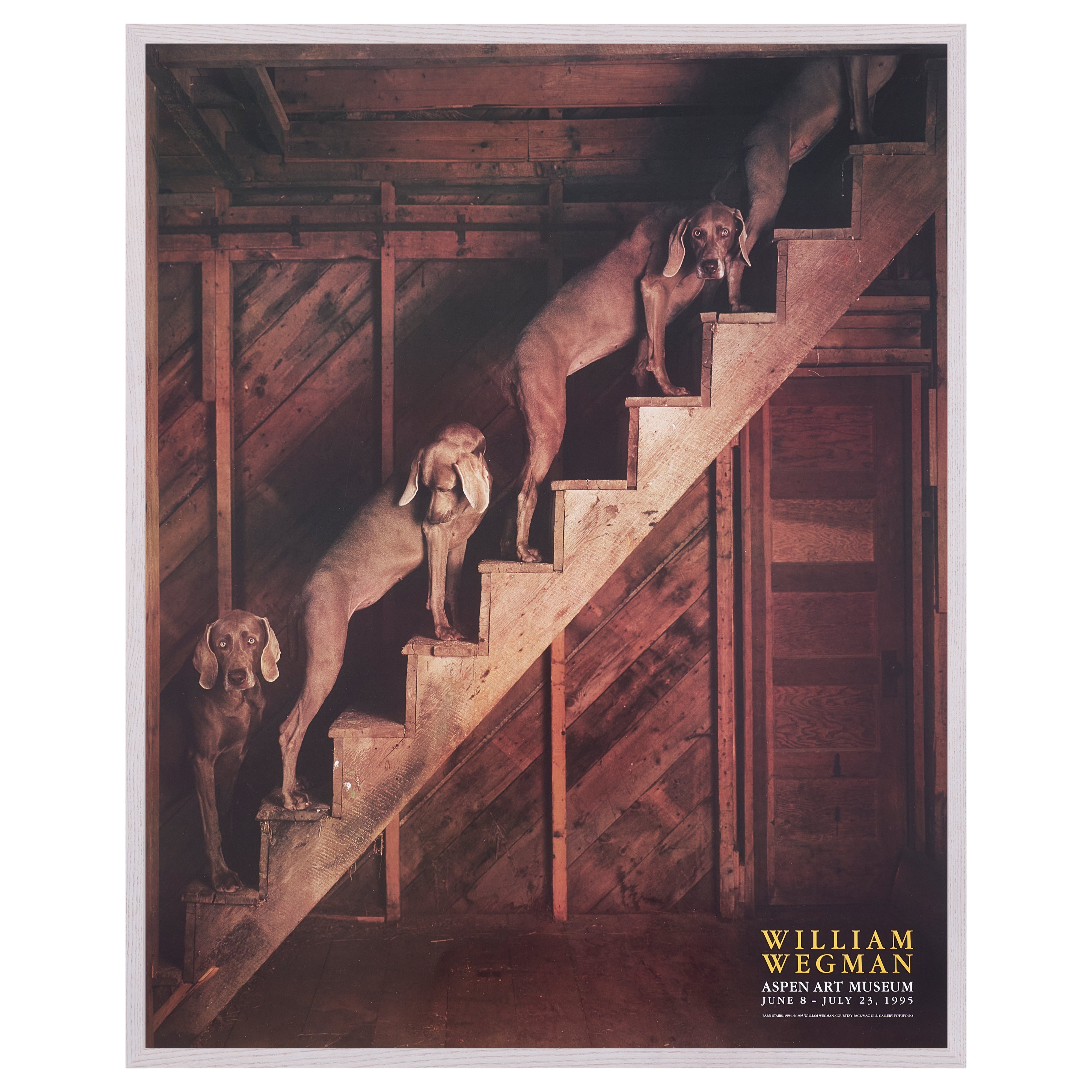 【限定10枚】BARN STAIRS 1994 - ASPEN ART MUSEUM 1995 / ウィリアム・ウェグマン