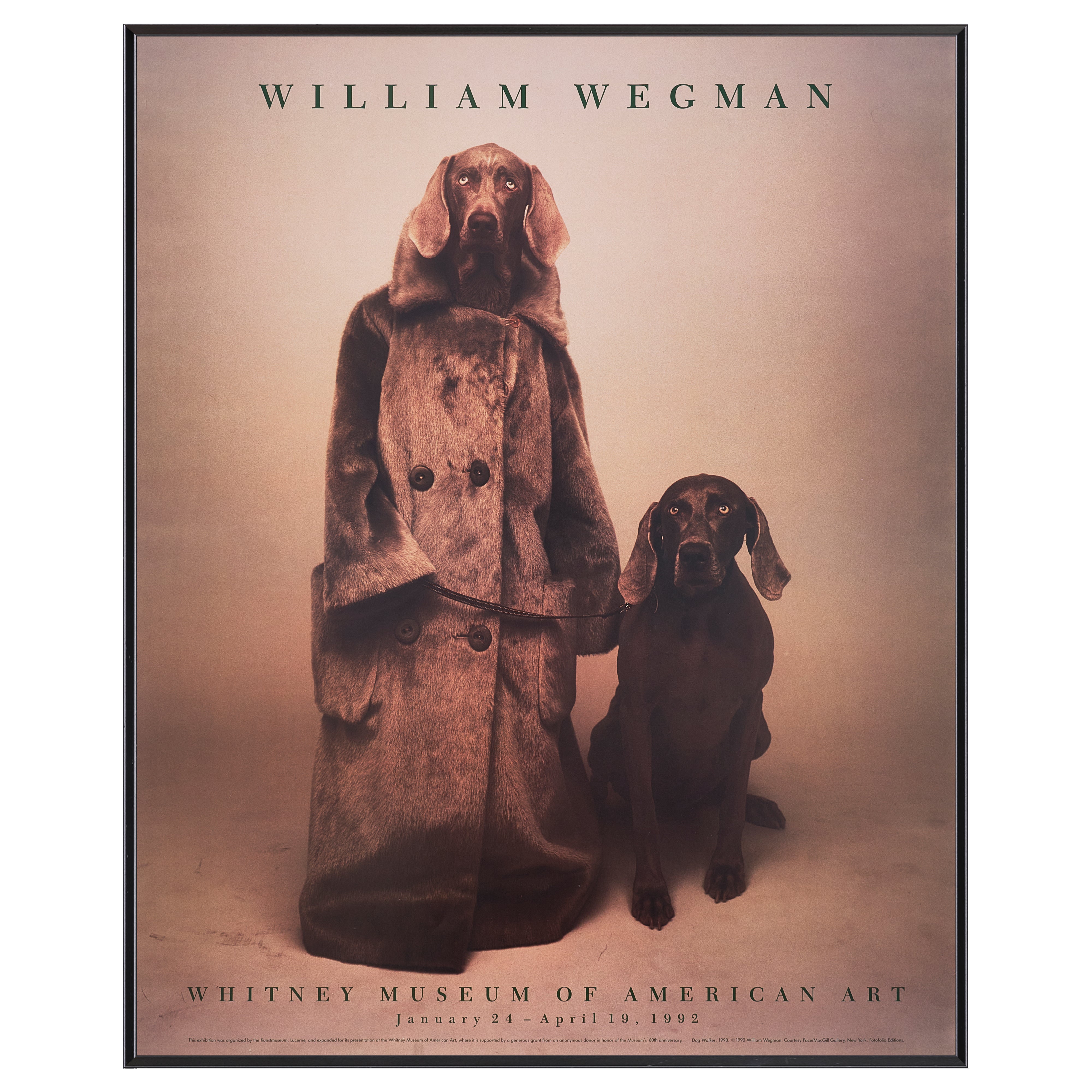 【限定10枚】Dog Walker 1990 - Whitney Museum of American Art 1992 / ウィリアム・ウェグマン