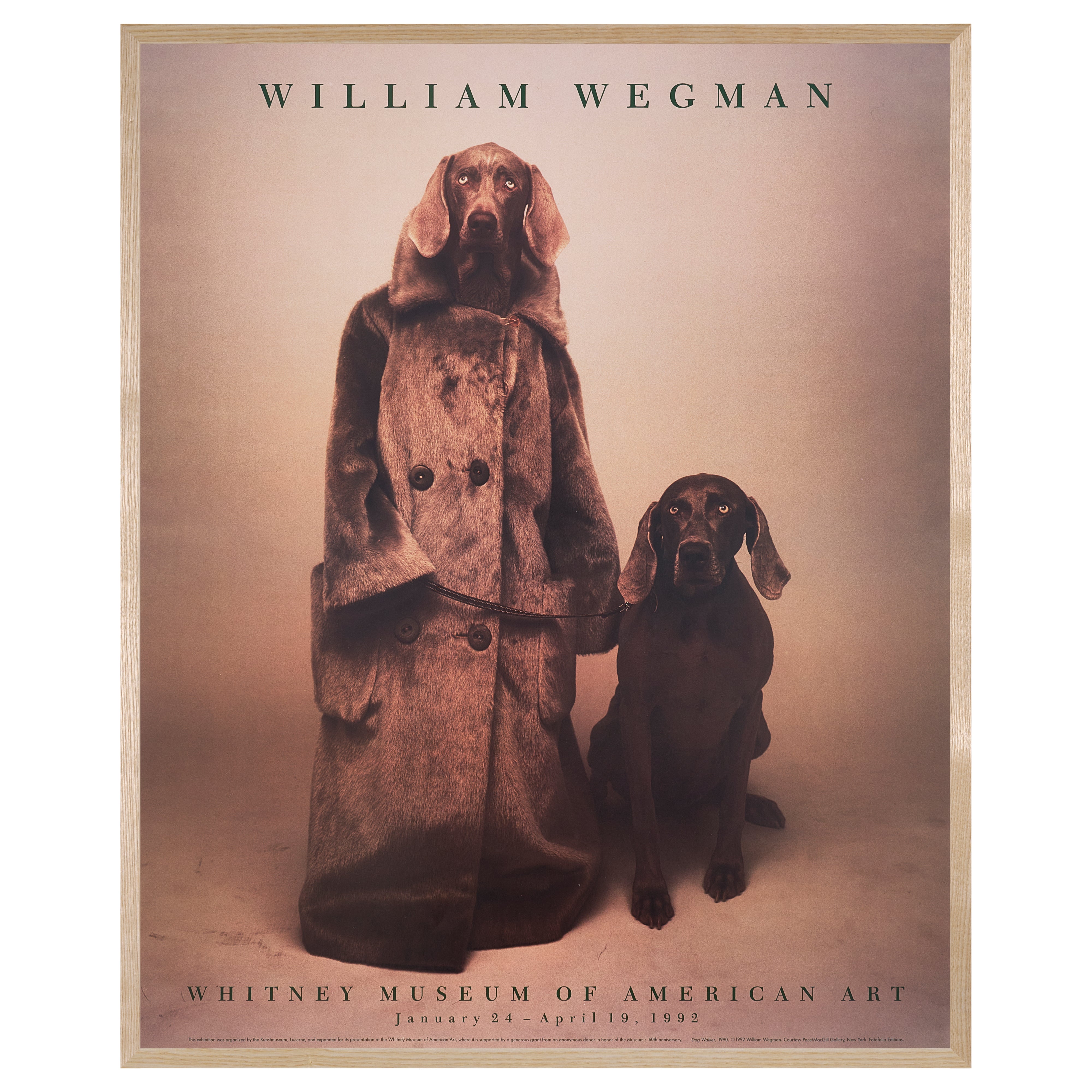 【限定10枚】Dog Walker 1990 - Whitney Museum of American Art 1992 / ウィリアム・ウェグマン