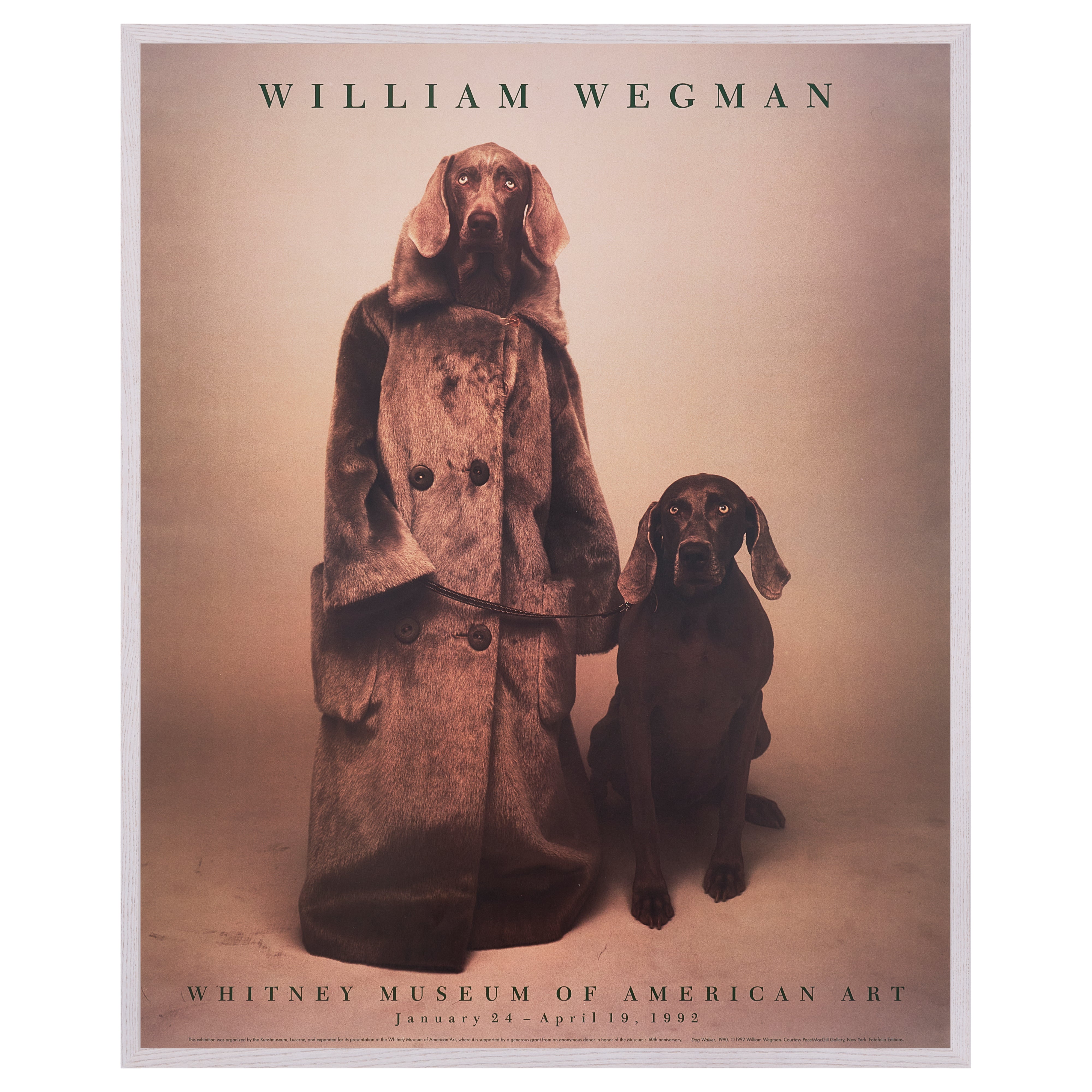 【限定10枚】Dog Walker 1990 - Whitney Museum of American Art 1992 / ウィリアム・ウェグマン