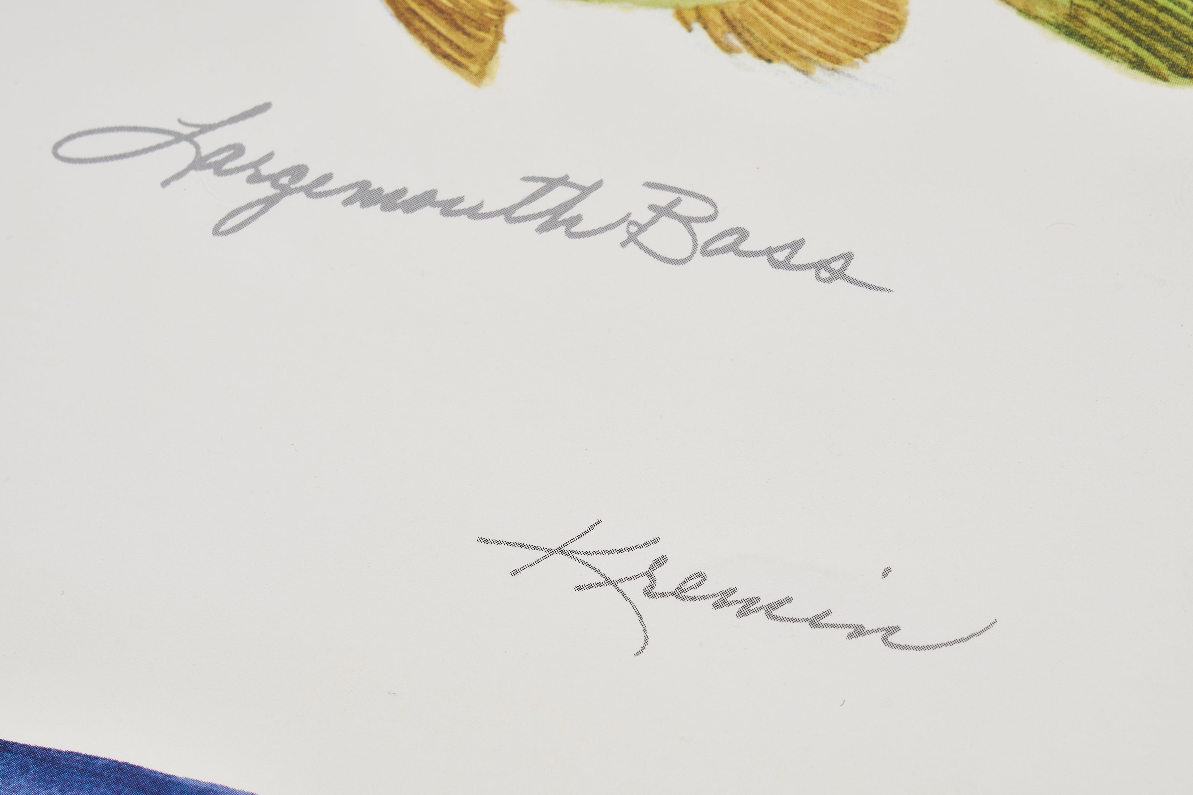 【限定5枚】DON’T WORRY…GO FISHING! - Gango Editions 1995 / アノニマス