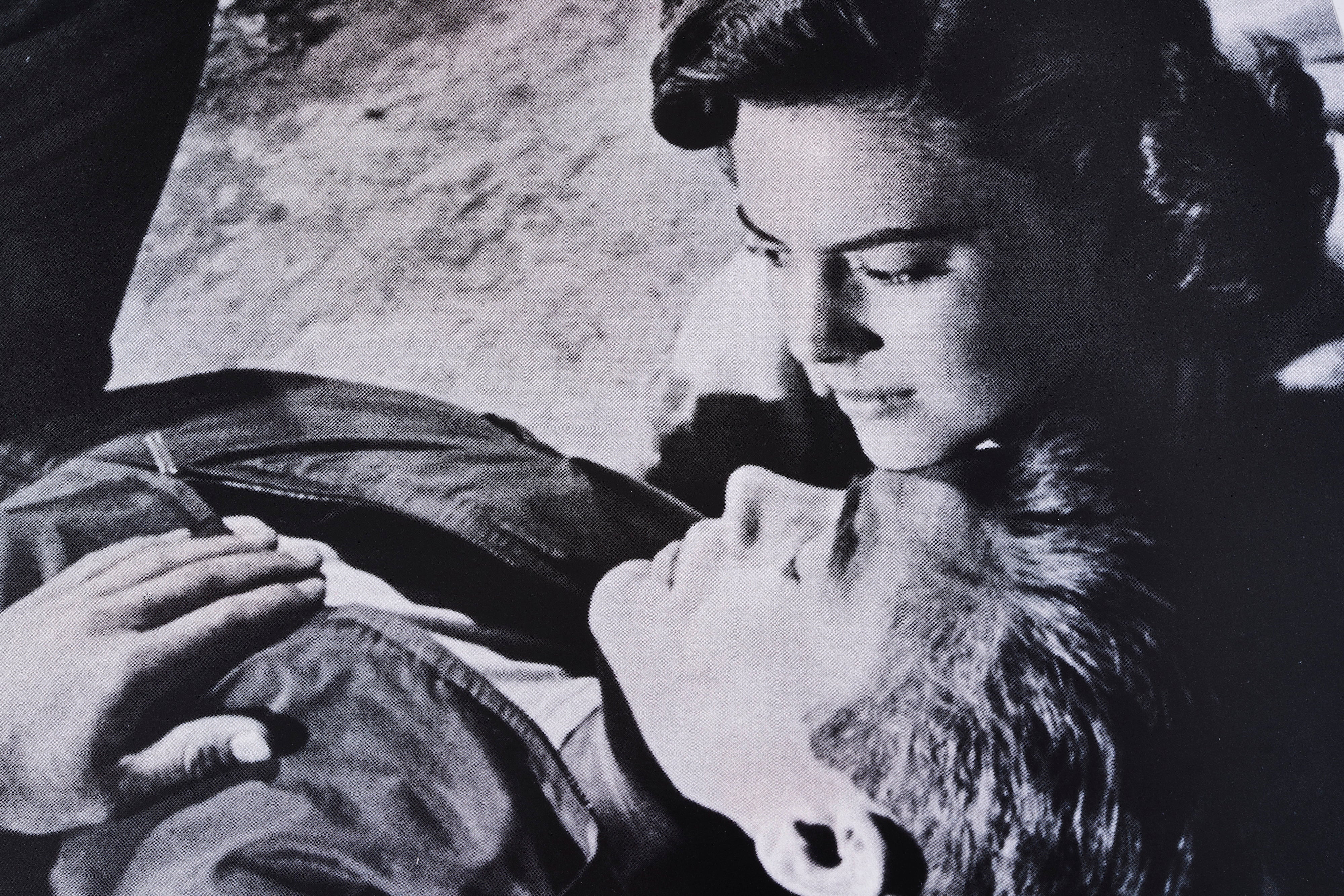 【限定5枚】REBEL WITHOUT A CAUSE（理由なき反抗） 1955 - PORTAL PUBLICATIONS 1988 / 映画ポスター