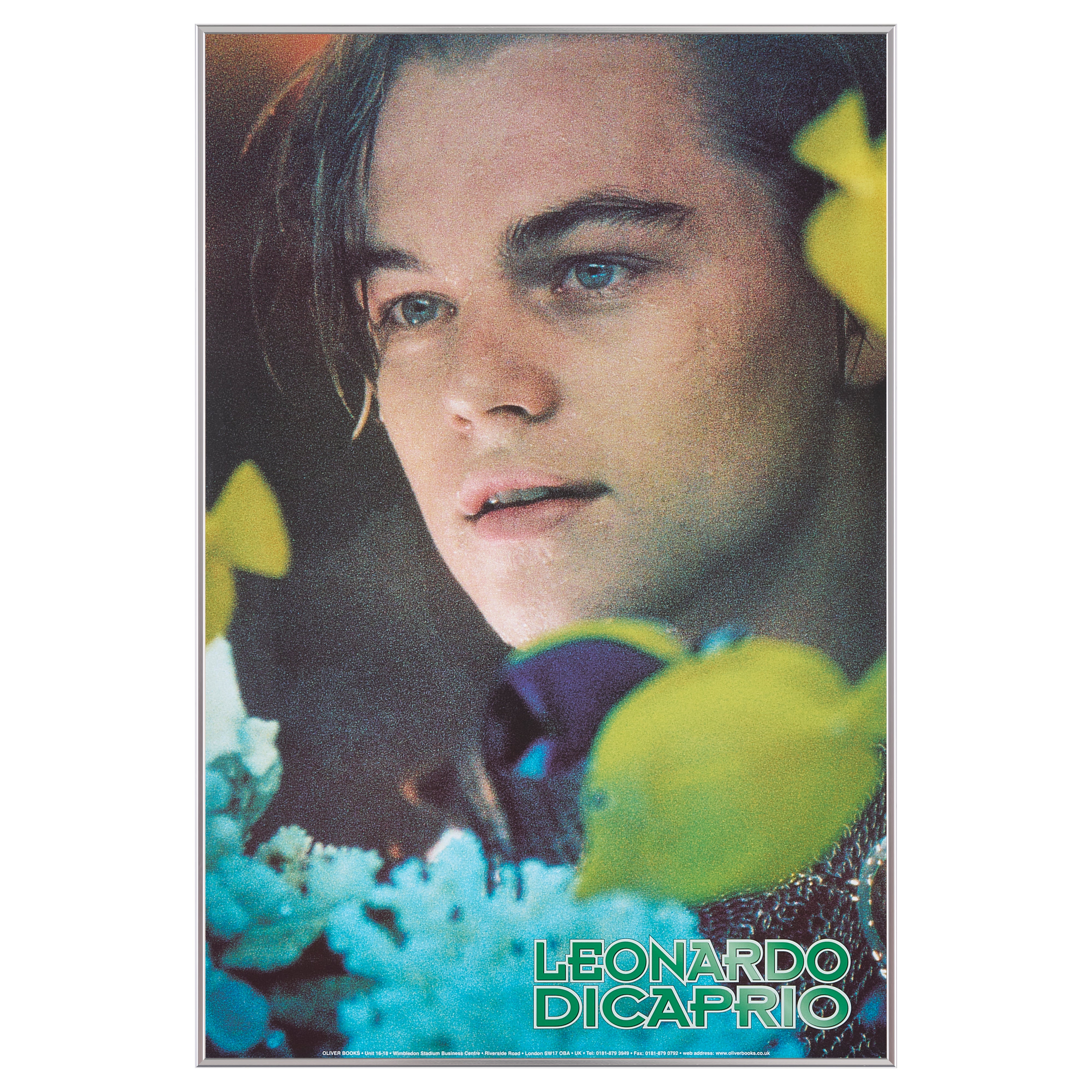 【限定10枚】Leonardo DiCaprio（レオナルド・ディカプリオ） 1996  / 俳優ポスター
