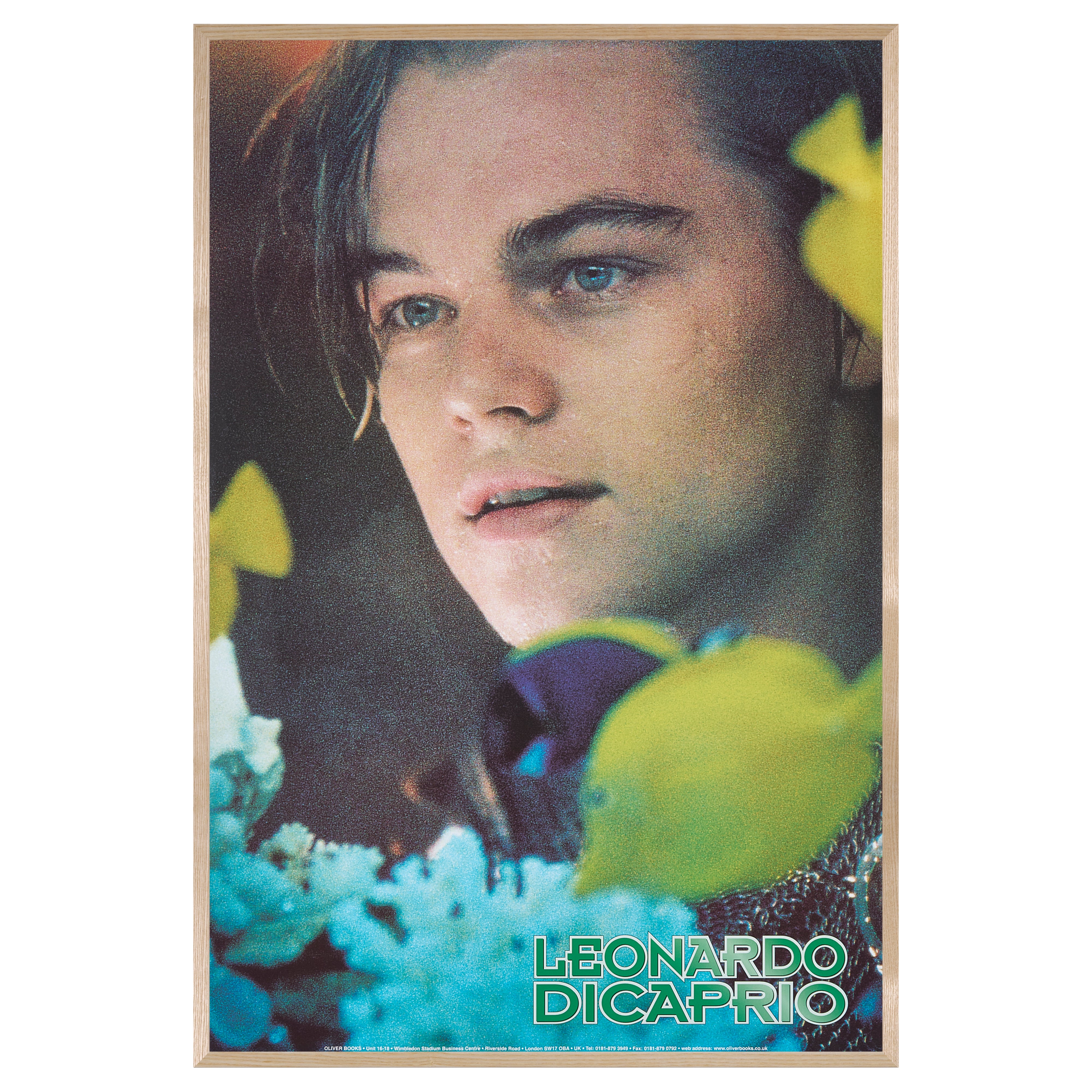 【限定10枚】Leonardo DiCaprio（レオナルド・ディカプリオ） 1996  / 俳優ポスター